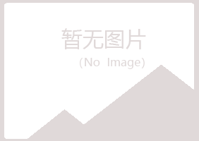 林州晓夏水泥有限公司